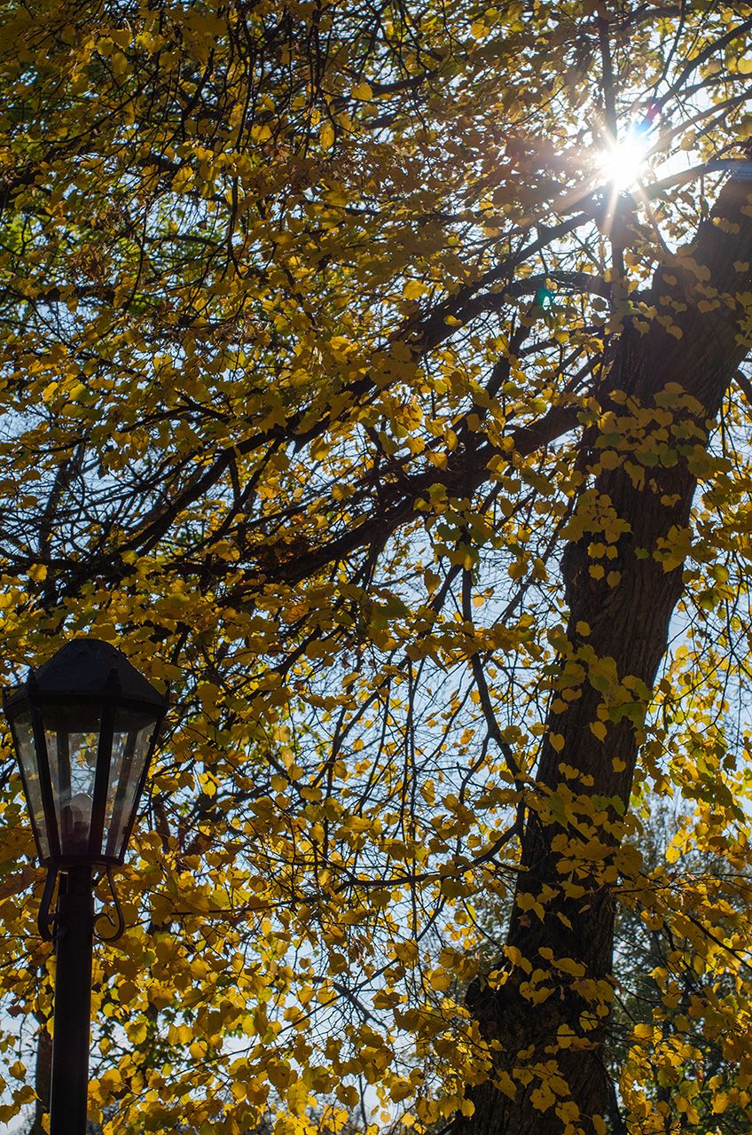 Осінь в Качанівці -  Photo by Oleksii Marchenko